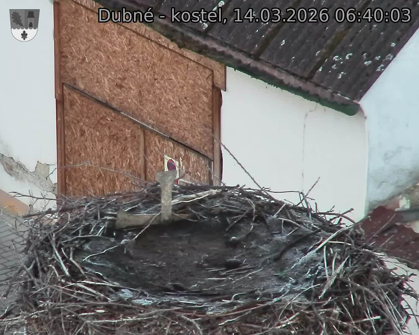 Capi_Dubne_20260314_064003.jpg (1350&nbsp;x&nbsp;1080)