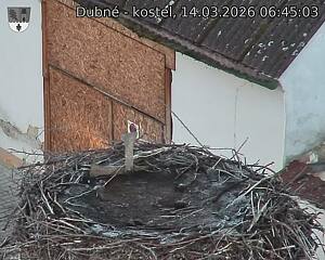 Capi_Dubne_20260314_064503.jpg (1350&nbsp;x&nbsp;1080)