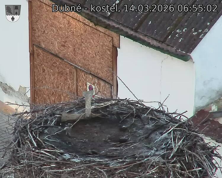 Capi_Dubne_20260314_065502.jpg (1350&nbsp;x&nbsp;1080)