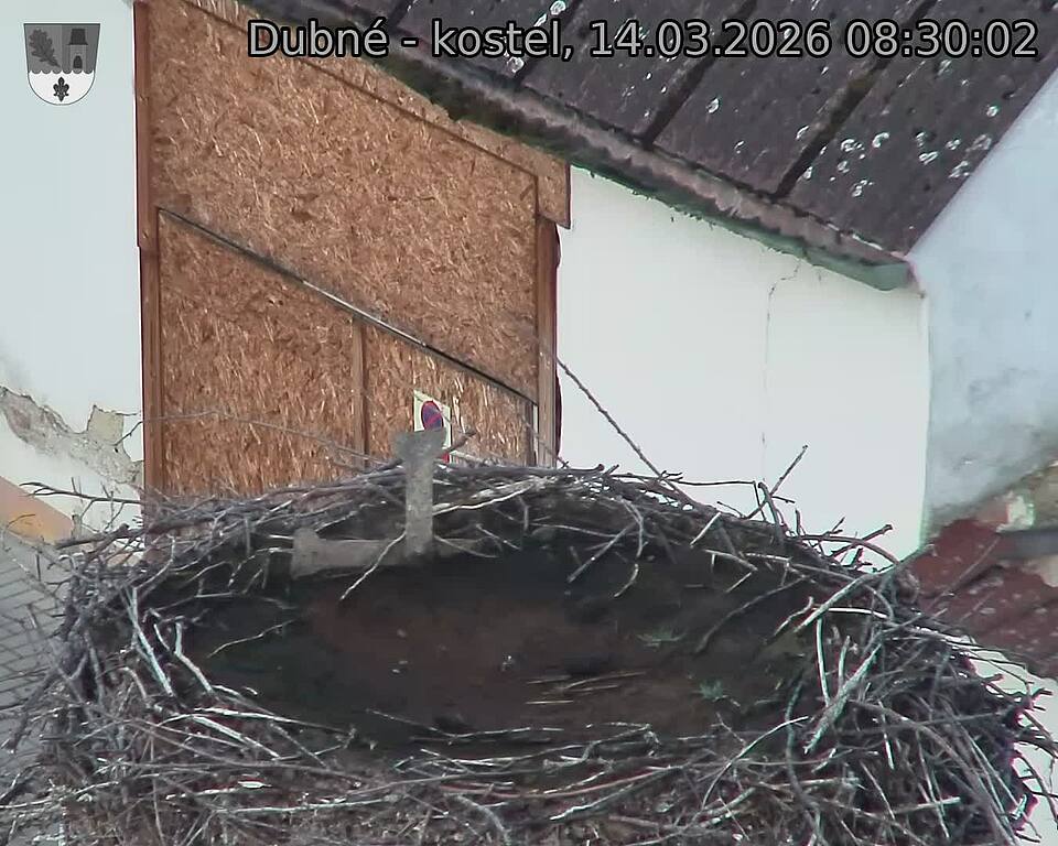Capi_Dubne_20260314_083002.jpg (1350&nbsp;x&nbsp;1080)