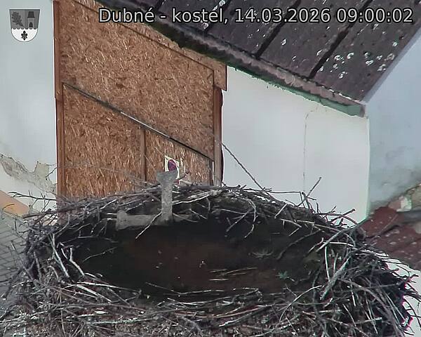Capi_Dubne_20260314_090003.jpg (1350&nbsp;x&nbsp;1080)