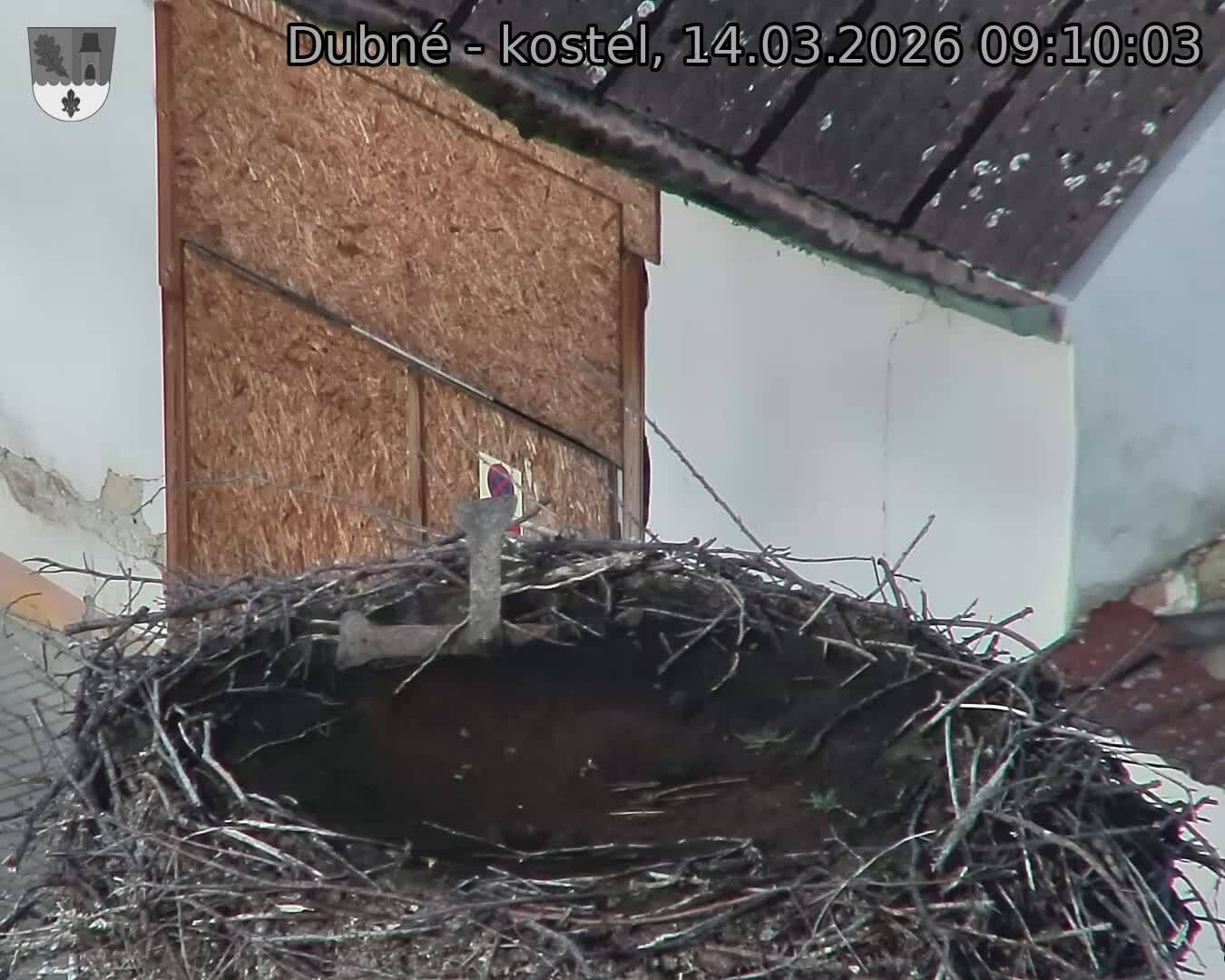 Capi_Dubne_20260314_091003.jpg (1350&nbsp;x&nbsp;1080)