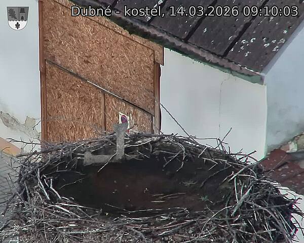 Capi_Dubne_20260314_091003.jpg (1350&nbsp;x&nbsp;1080)