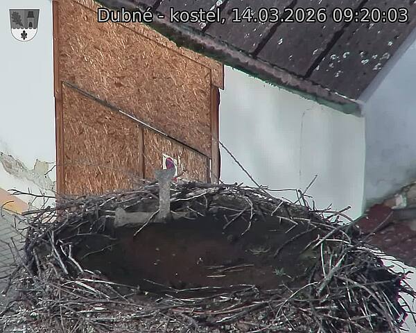 Capi_Dubne_20260314_092003.jpg (1350&nbsp;x&nbsp;1080)