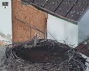 Capi_Dubne_20260314_093002.jpg (1350&nbsp;x&nbsp;1080)