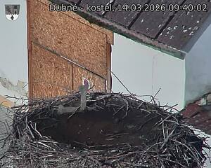 Capi_Dubne_20260314_094002.jpg (1350&nbsp;x&nbsp;1080)