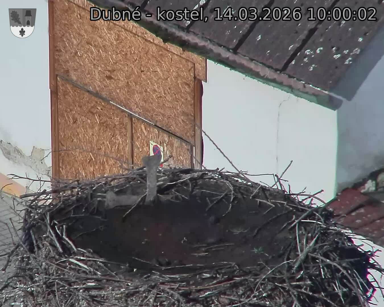 Capi_Dubne_20260314_100002.jpg (1350&nbsp;x&nbsp;1080)