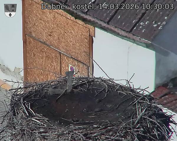 Capi_Dubne_20260314_103003.jpg (1350&nbsp;x&nbsp;1080)