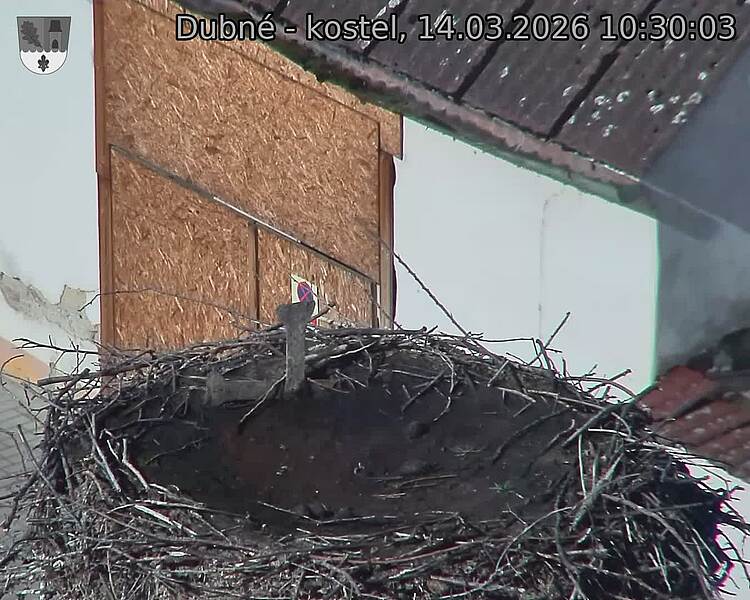 Capi_Dubne_20260314_103003.jpg (1350&nbsp;x&nbsp;1080)