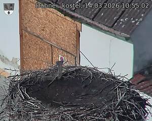 Capi_Dubne_20260314_105502.jpg (1350&nbsp;x&nbsp;1080)