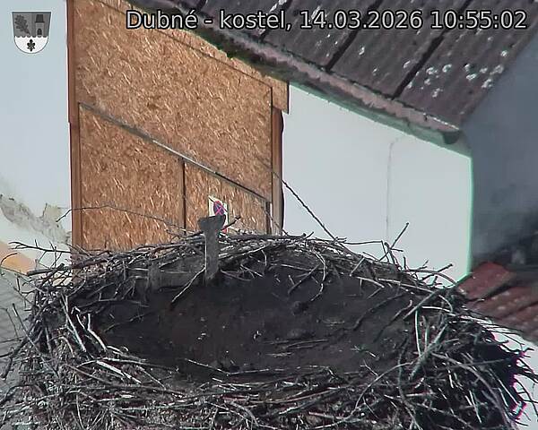 Capi_Dubne_20260314_105502.jpg (1350&nbsp;x&nbsp;1080)
