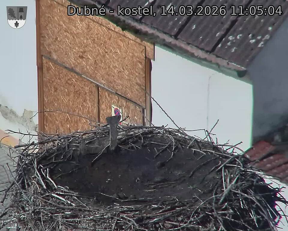 Capi_Dubne_20260314_110504.jpg (1350&nbsp;x&nbsp;1080)