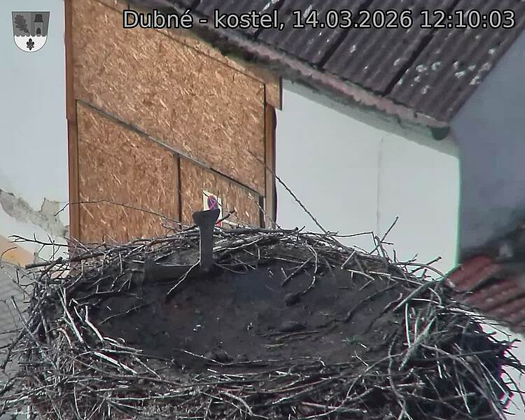 Capi_Dubne_20260314_121003.jpg (1350&nbsp;x&nbsp;1080)