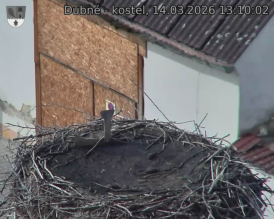 Capi_Dubne_20260314_131002.jpg (1350&nbsp;x&nbsp;1080)
