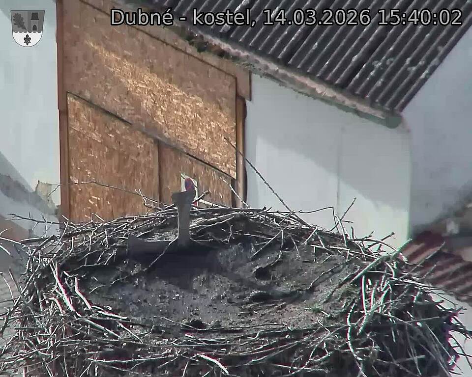 Capi_Dubne_20260314_154002.jpg (1350&nbsp;x&nbsp;1080)
