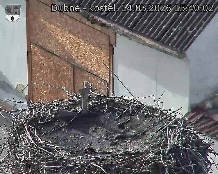 Capi_Dubne_20260314_154002.jpg (1350&nbsp;x&nbsp;1080)