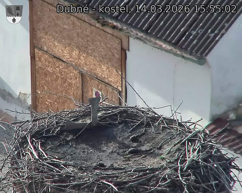 Capi_Dubne_20260314_155502.jpg (1350&nbsp;x&nbsp;1080)