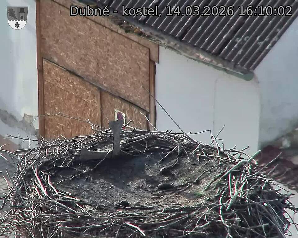 Capi_Dubne_20260314_161002.jpg (1350&nbsp;x&nbsp;1080)