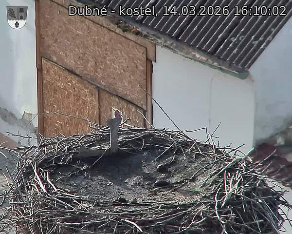 Capi_Dubne_20260314_161002.jpg (1350&nbsp;x&nbsp;1080)