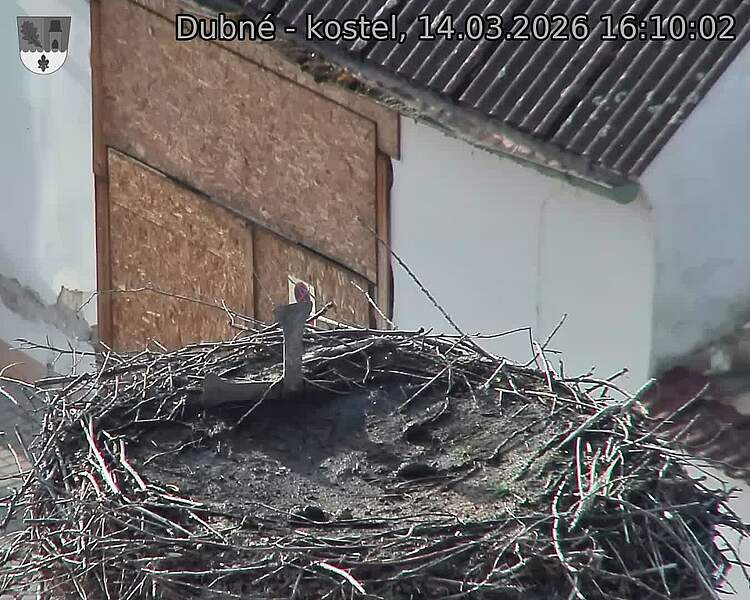 Capi_Dubne_20260314_161002.jpg (1350&nbsp;x&nbsp;1080)