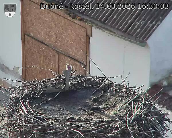 Capi_Dubne_20260314_163003.jpg (1350&nbsp;x&nbsp;1080)