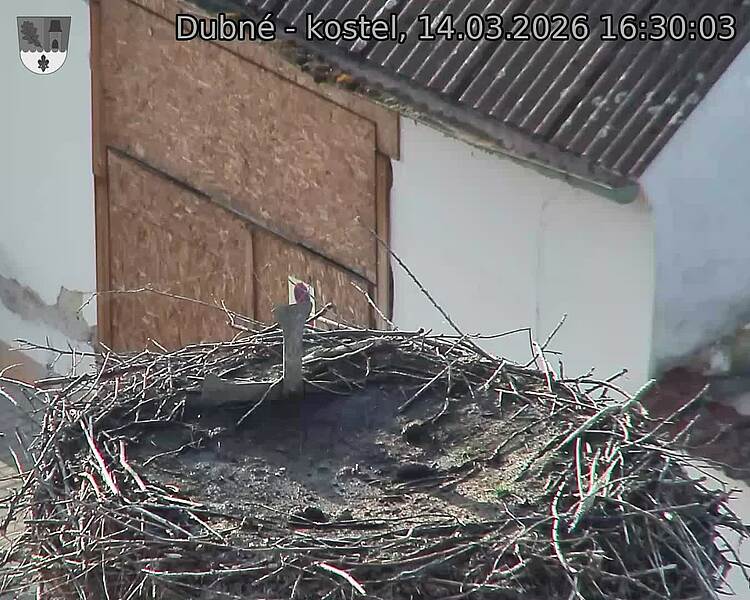 Capi_Dubne_20260314_163003.jpg (1350&nbsp;x&nbsp;1080)