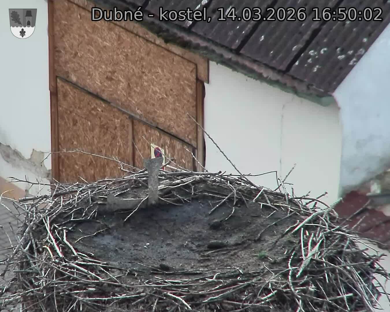 Capi_Dubne_20260314_165002.jpg (1350&nbsp;x&nbsp;1080)