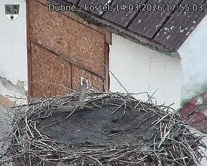 Capi_Dubne_20260314_175503.jpg (1350&nbsp;x&nbsp;1080)