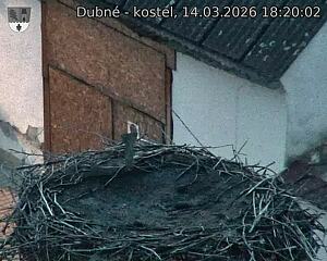 Capi_Dubne_20260314_182002.jpg (1350&nbsp;x&nbsp;1080)
