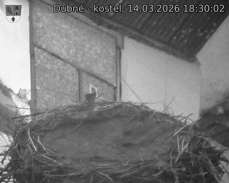 Capi_Dubne_20260314_183002.jpg (1350&nbsp;x&nbsp;1080)