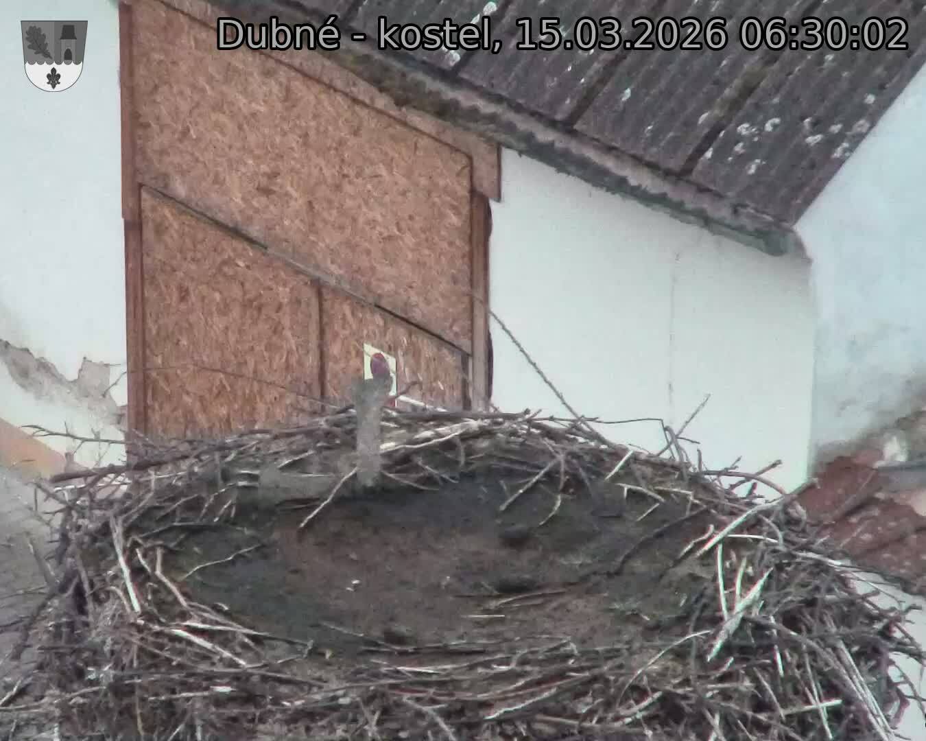 Capi_Dubne_20260315_063002.jpg (1350&nbsp;x&nbsp;1080)