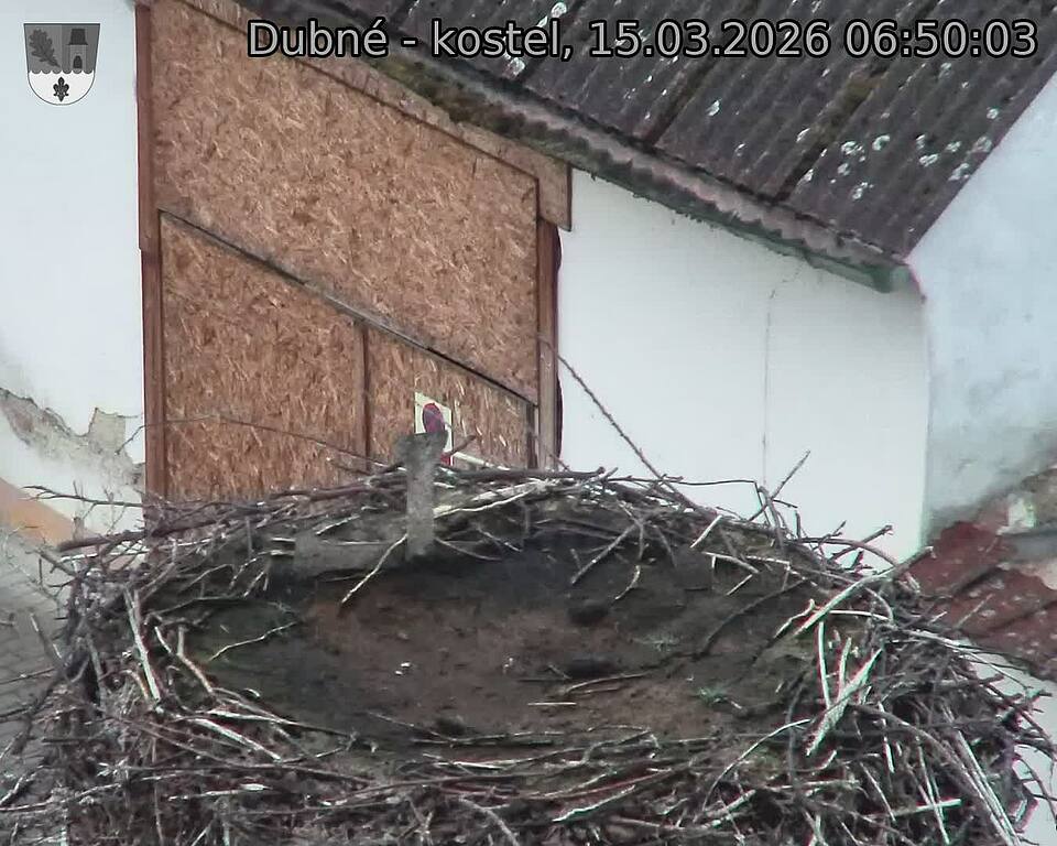 Capi_Dubne_20260315_065003.jpg (1350&nbsp;x&nbsp;1080)