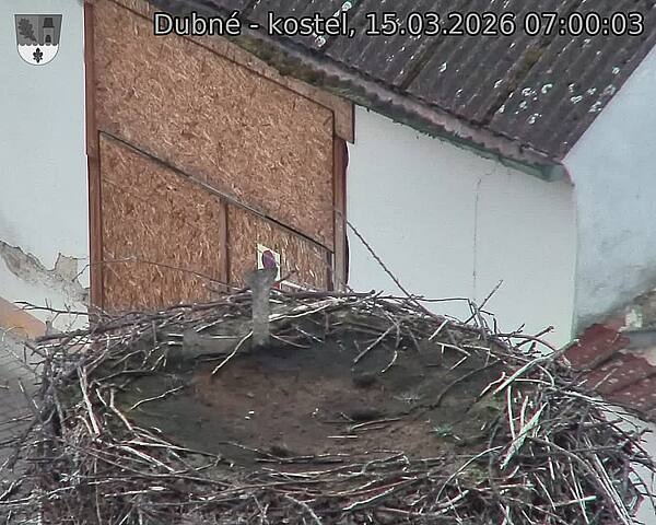 Capi_Dubne_20260315_070003.jpg (1350&nbsp;x&nbsp;1080)