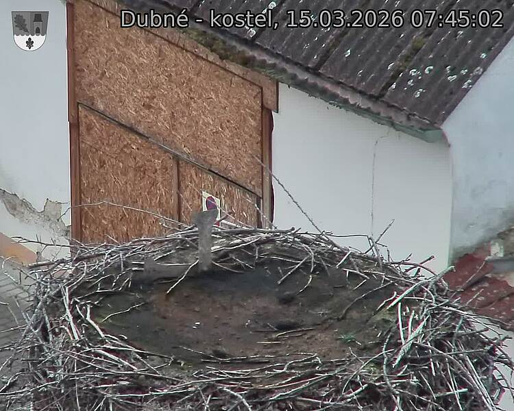Capi_Dubne_20260315_074502.jpg (1350&nbsp;x&nbsp;1080)