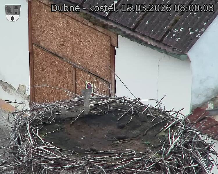 Capi_Dubne_20260315_080003.jpg (1350&nbsp;x&nbsp;1080)