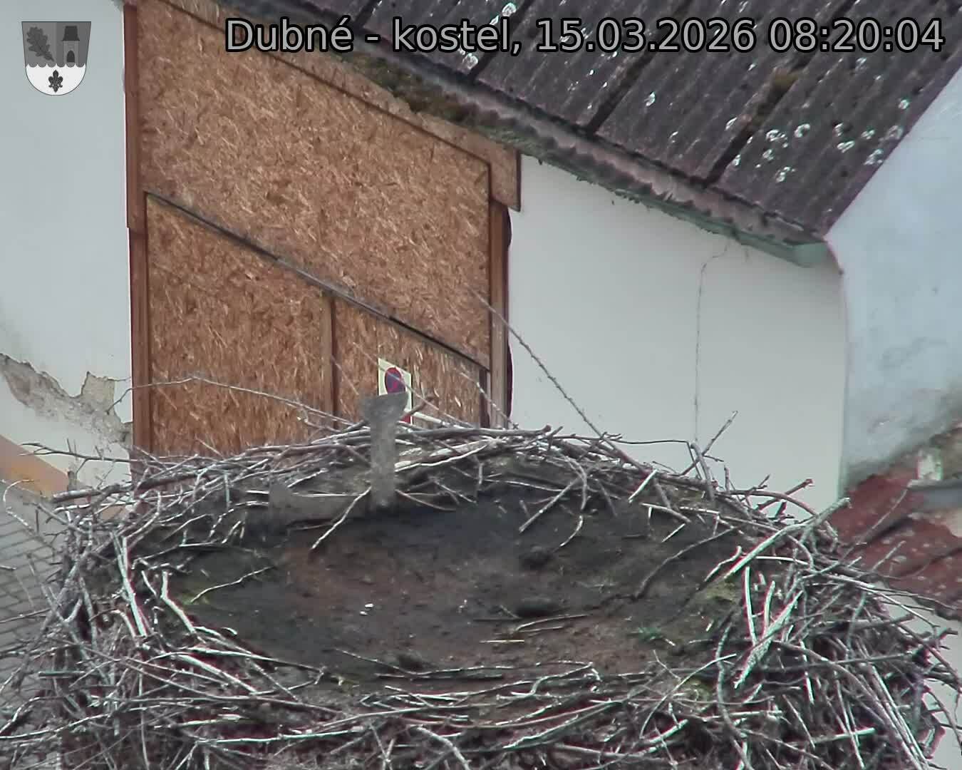 Capi_Dubne_20260315_082004.jpg (1350&nbsp;x&nbsp;1080)