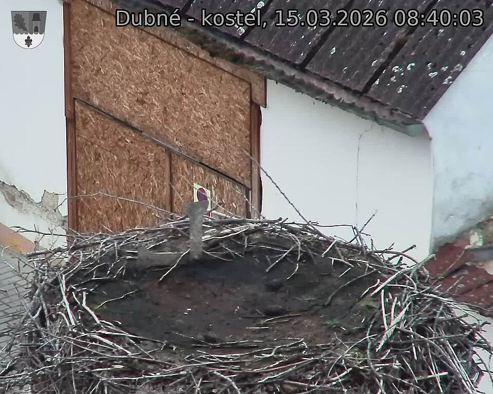 Capi_Dubne_20260315_084003.jpg (1350&nbsp;x&nbsp;1080)
