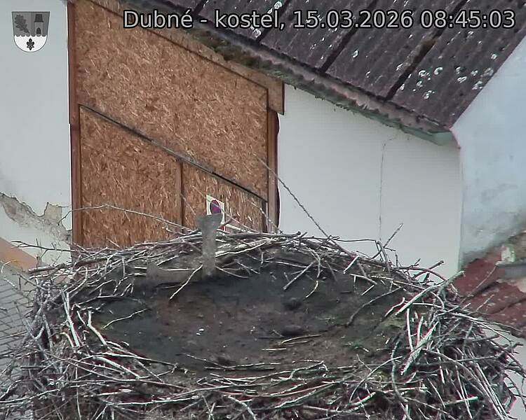 Capi_Dubne_20260315_084503.jpg (1350&nbsp;x&nbsp;1080)