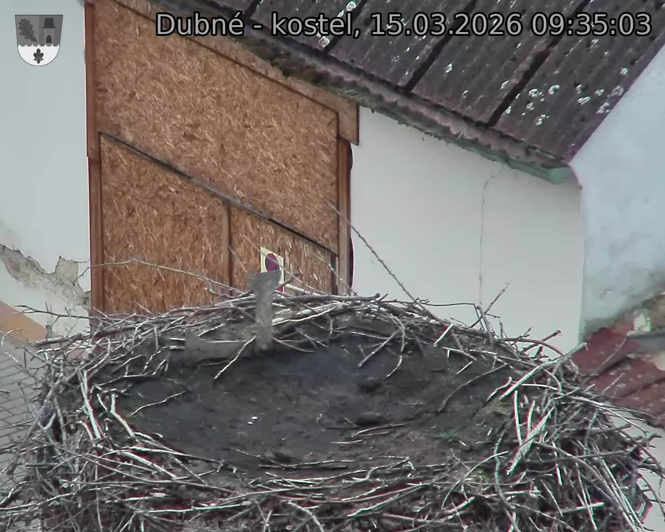 Capi_Dubne_20260315_093503.jpg (1350&nbsp;x&nbsp;1080)