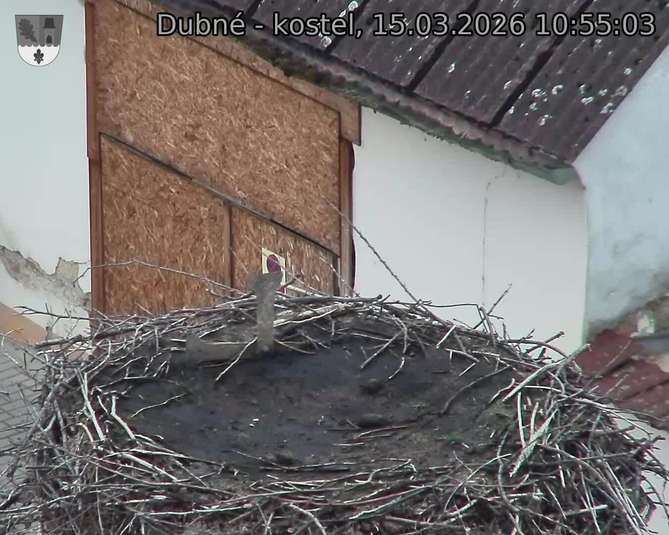 Capi_Dubne_20260315_105503.jpg (1350&nbsp;x&nbsp;1080)