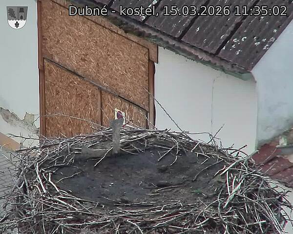 Capi_Dubne_20260315_113502.jpg (1350&nbsp;x&nbsp;1080)