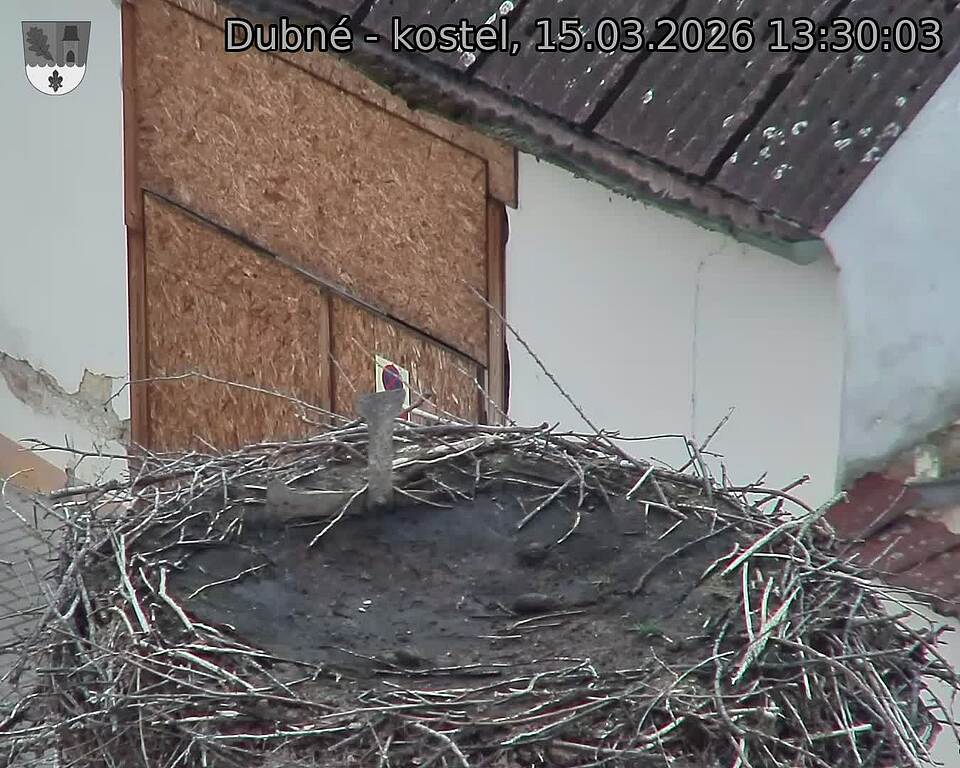Capi_Dubne_20260315_133003.jpg (1350&nbsp;x&nbsp;1080)