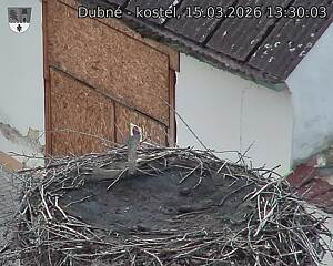 Capi_Dubne_20260315_133003.jpg (1350&nbsp;x&nbsp;1080)