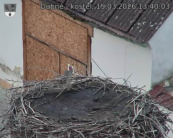 Capi_Dubne_20260315_134003.jpg (1350&nbsp;x&nbsp;1080)