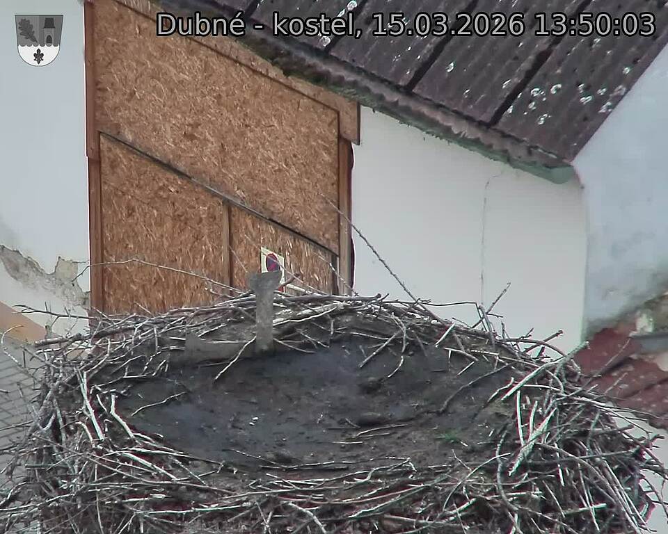 Capi_Dubne_20260315_135003.jpg (1350&nbsp;x&nbsp;1080)