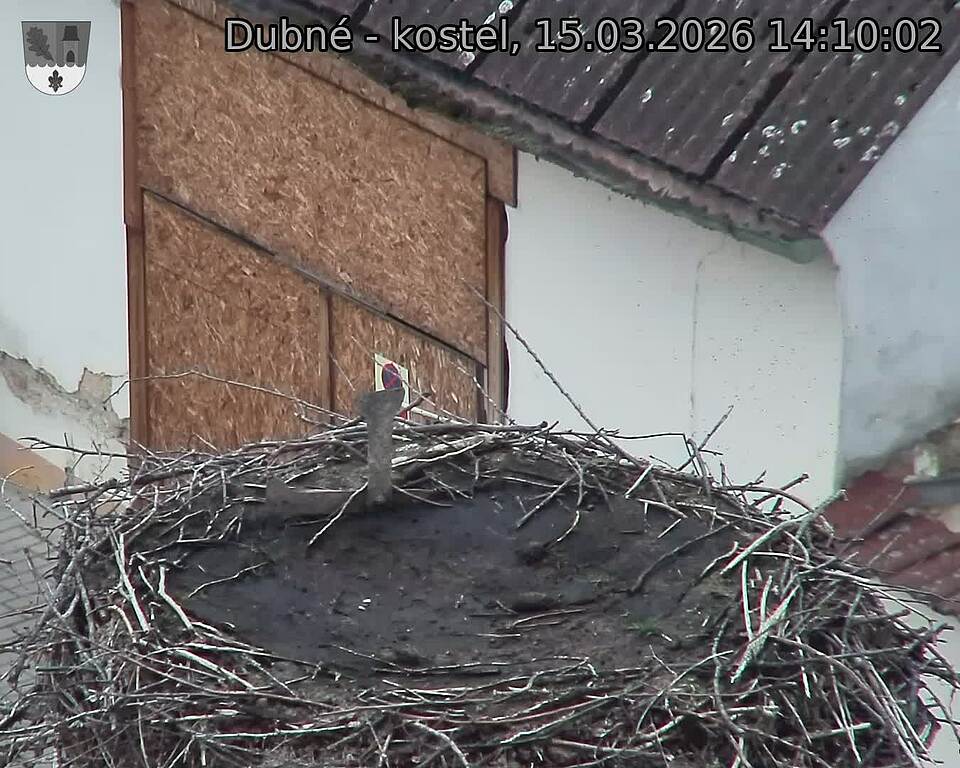 Capi_Dubne_20260315_141002.jpg (1350&nbsp;x&nbsp;1080)