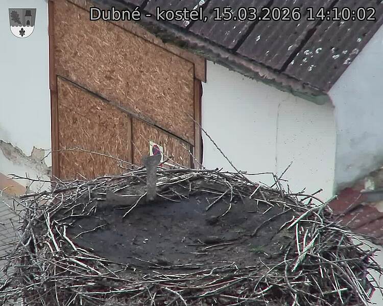 Capi_Dubne_20260315_141002.jpg (1350&nbsp;x&nbsp;1080)