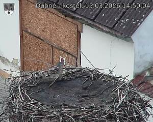 Capi_Dubne_20260315_145004.jpg (1350&nbsp;x&nbsp;1080)