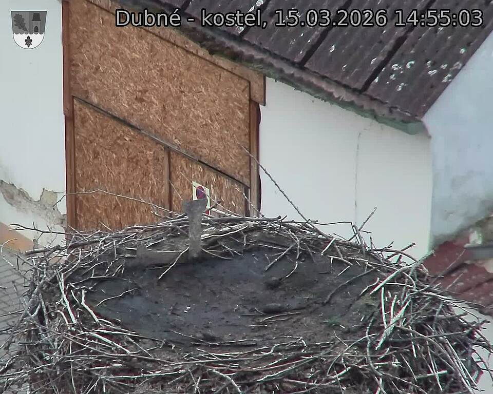 Capi_Dubne_20260315_145503.jpg (1350&nbsp;x&nbsp;1080)