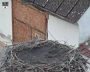 Capi_Dubne_20260315_173002.jpg (1350&nbsp;x&nbsp;1080)